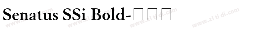 Senatus SSi Bold字体转换